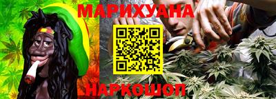 тгк Новозыбков