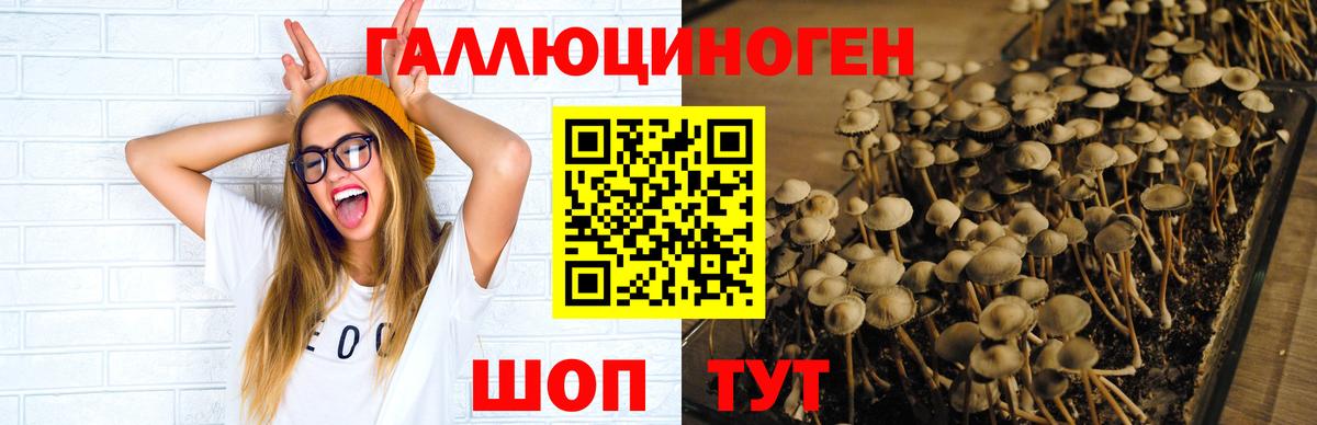 Светлоград  даркнет сайт  Вход с VPN  Псилоцибиновые грибы MAGIC MUSHROOMS 
